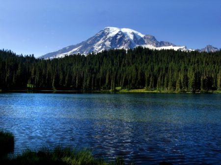 Mount Rainier National Park