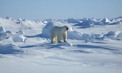 Climate Types