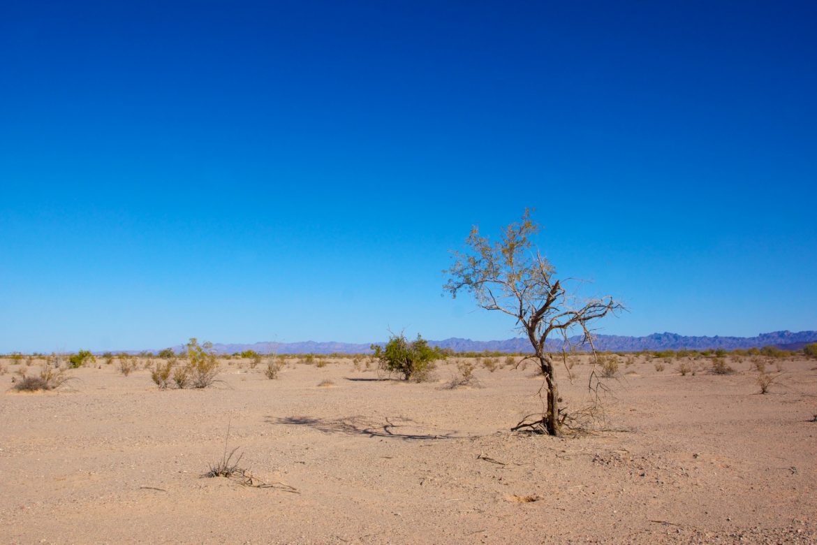 list-of-top-10-largest-biggest-deserts-in-the-world-basic-planet