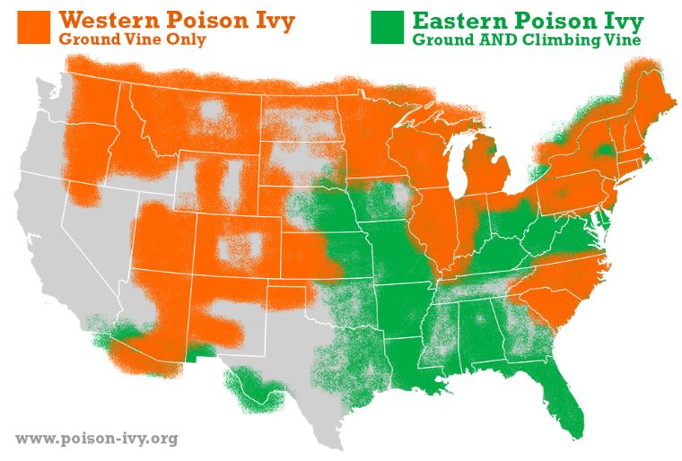 poison ivy map